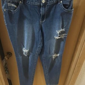 Lane Bryant Distressed Ankle Jeans in Blue
